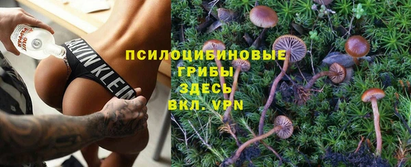 каннабис Арсеньев