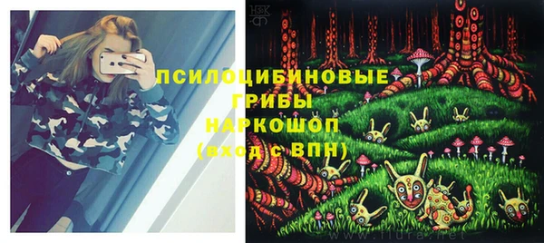 гидра Баксан