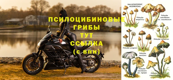 MDMA Premium VHQ Армянск