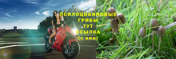 метадон Аркадак