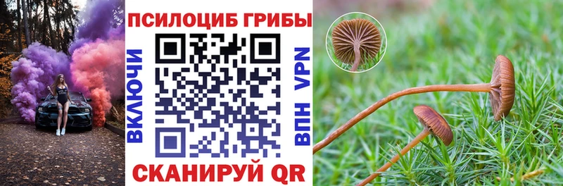 блэк спрут вход  что такое наркотик  Высоцк  Псилоцибиновые грибы мухоморы 